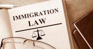 ImmigrationLawBook